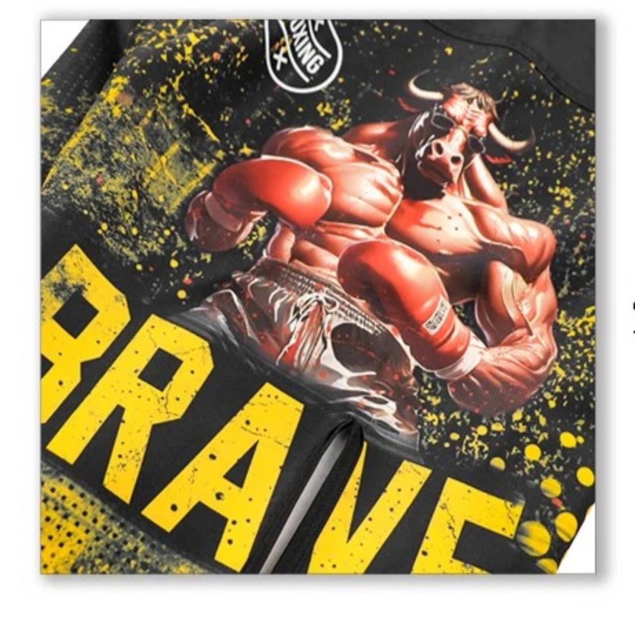 Brave Boxing Premium MMA Shorts